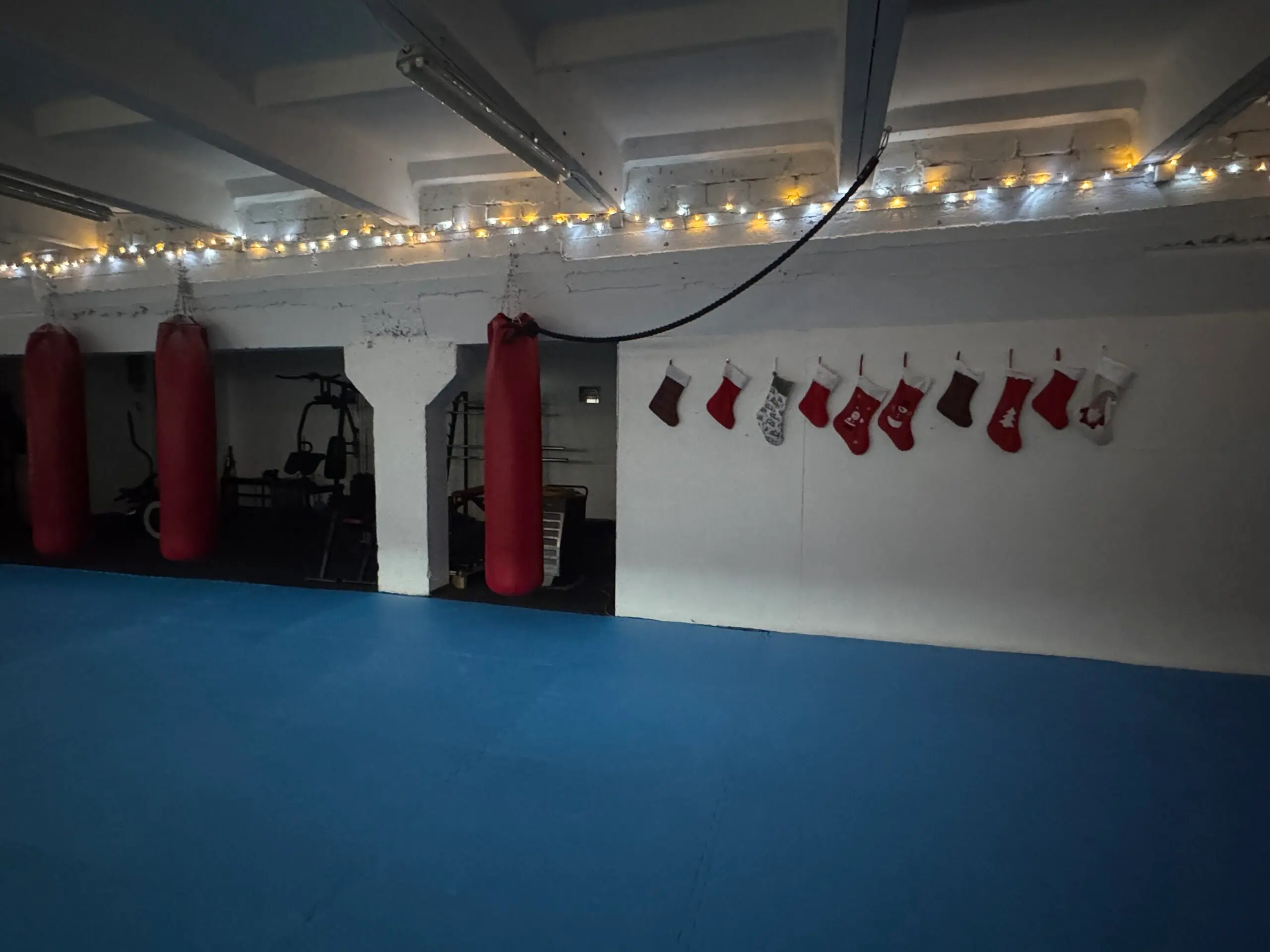 ZIEMASSVĒTKI BUDOSCHOOL